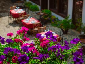 Zahrada ubytování HANI I PAZARIT Boutique Hotel