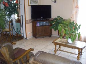 a living room with a couch and a tv at Hôtel Restaurant Anglade in Le Nayrac