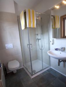 a bathroom with a shower and a toilet and a sink at Eco Hotel Locanda del Giglio in Roveredo Capriasca