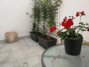 Fotografia z galérie ubytovania Patio de la Escalera - Agustín Moreno 46 v destinácii Córdoba
