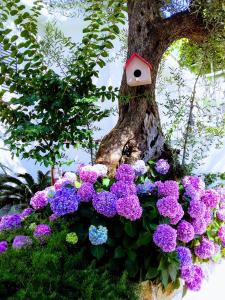 a bunch of purple and blue flowers around a tree at Apartmani Steni in Sveti Stefan