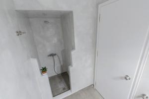 a white bathroom with a shower with a plant in it at Bahia in Hydra
