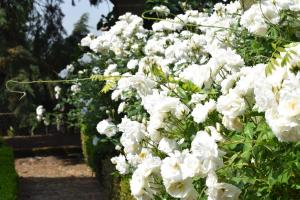 Um jardim em Villa Margaridi