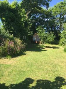 un campo de hierba con un árbol y un remolque en Littlebridge Farmhouse en Bude