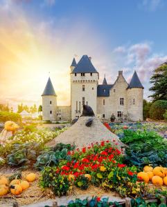 een kasteel met een bos bloemen ervoor bij Hôtel du Château du Rivau in Lémeré