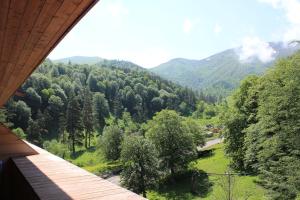 una vista di una valle con alberi e montagne di Bakuriani Valley a Bakuriani