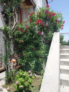 Ein Garten an der Unterkunft Charming Hill Apartment