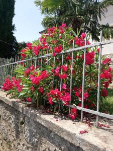 Ein Garten an der Unterkunft Charming Hill Apartment