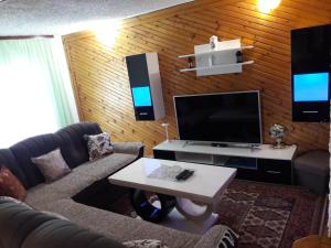 a living room with a couch and a flat screen tv at Holiday Home Aleksic in Žabljak