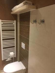 ein Bad mit einem WC und einer Dusche in der Unterkunft Ferienwohnung "Zur Glocke" in Burg