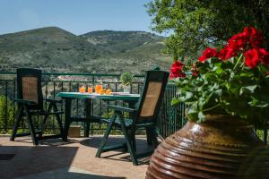 a table and chairs and a vase with red flowers at Apartment Voula Myrtos in Anomeriá
