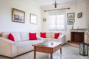 a living room with a couch and a fireplace at Apartment Voula Myrtos in Anomeriá