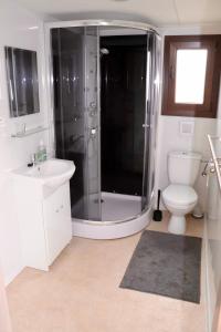 ein Bad mit einer Dusche, einem WC und einem Waschbecken in der Unterkunft Holiday houses BARCA in Košice