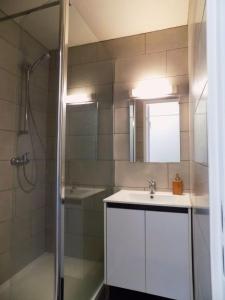 カネ・アン・ルシヨンにあるAppart Canetのバスルーム(シンク、シャワー、鏡付)
