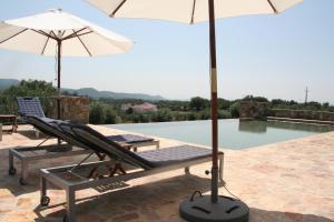Bazén v ubytování Casa da Pedra-Quinta do Briando nebo v jeho okolí