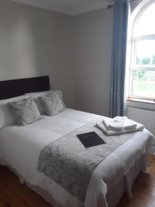 Postel nebo postele na pokoji v ubytování Doonard Manor B&B