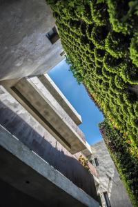 a view of a building with a green hedge at Kook Hotel Tarifa in Tarifa