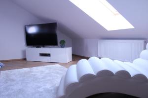 TV in/ali zabaviščno središče v nastanitvi Apartmány Ztracená