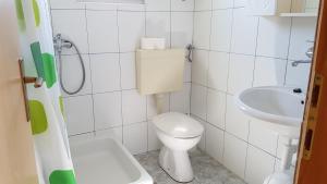 a small bathroom with a toilet and a sink at Cozy apartment in Jezera +7 photos