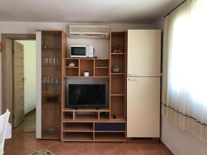 salon z telewizorem i lodówką w obiekcie Apartments Biskup w mieście Privlaka