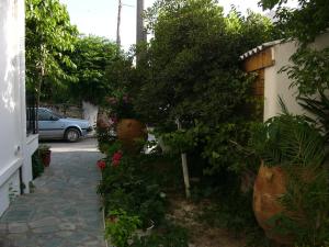 Vonkajšia záhrada v ubytovaní Oasis Studios