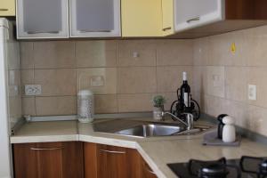 kuchnia ze zlewem i blatem w obiekcie Apartments Biskup w mieście Privlaka +37 zdjęć
