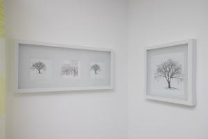Fotografia z galérie ubytovania Apartment Semi v Dubrovníku
