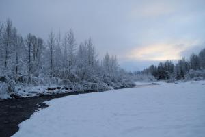 Gallery image of Skiview #103 in Girdwood