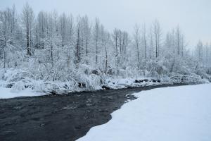Gallery image of Skiview #103 in Girdwood