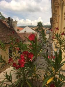 Bilde i galleriet til Nap Hostel Pécs i Pécs