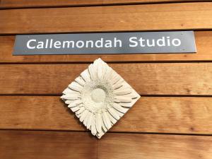 班加洛Callemondah Studio with stunning views, in Bangalow and Byron Hinterland的相册照片