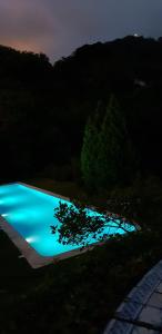 una piscina por la noche con un árbol en el primer plano en Hotel Sintra Jardim, en Sintra