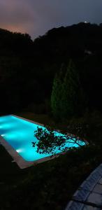 a swimming pool at night with a tree in the foreground at Hotel Sintra Jardim in Sintra