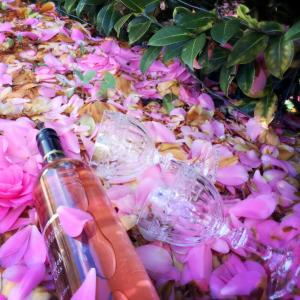 Φωτογραφία από το άλμπουμ του The Shan's Lodge στο Κουινστάουν