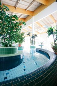 a pool in a building with trees and plants at Trixi Park Zittauer Gebirge - Ferienhäuser, Hotel und Camping in Großschönau