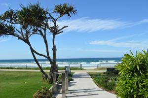 a walkway to the beach with a bench and trees at Sanctuary Beach Resort in Gold Coast