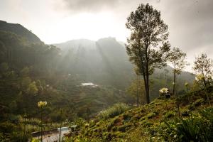 uma vista para um vale numa montanha em Meena Amma's Tea Experience em Ambawela