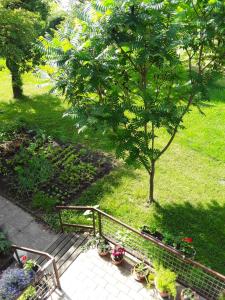a park bench with a bunch of potted plants at Gästehaus Kuchernig in Völkermarkt