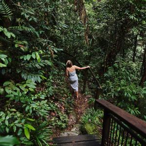 Hosté ubytování Daintree Ecolodge