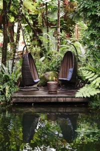 Zahrada ubytování Daintree Ecolodge