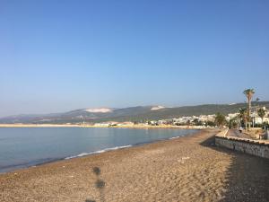 a sandy beach with palm trees and the ocean at İskele Otel in Tasucu