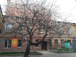 a tree in front of a brick building at A cozy wooden studio in a heart of Kharkiv in Kharkiv