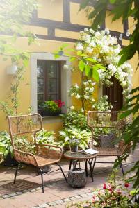 Zahrada ubytování Fährhaus Meißen B&B