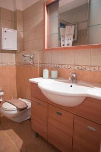 a bathroom with a sink and a toilet and a mirror at Mary's House in Lefkada Town