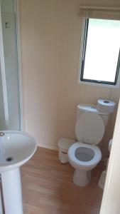 a bathroom with a toilet and a sink and a window at Rybnik Dalibor in Vlcice