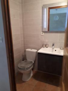 a bathroom with a toilet and a sink at chambre d'hôte Chez Tourache in Saint-Jacques-en-Valgodemard