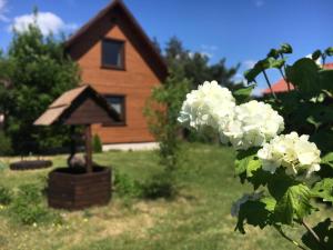 una casa con un baño de aves y flores en el patio en Gorczyca Reset, en Płaska
