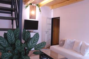 TV a/nebo společenská místnost v ubytování Apartmány Ztracená