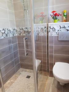 a bathroom with a shower and a toilet at Gite les Coquelicots in Lédenon +16 photos