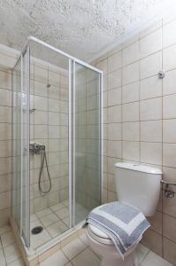 a bathroom with a shower and a white toilet at Keramos in Zaros